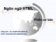 Bài giảng Thiết kế Web: Chương 2 - ThS. Phạm Đào Minh Vũ