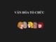 Bài giảng Hành vi tổ chức: Chương 11 - ThS. Tạ Thị Hồng Hạnh
