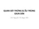 Bài giảng Thực hành Vi sinh - Ký sinh trùng: Quan sát trứng và ấu trùng giun sán - GV. Nguyễn Thị Ngọc Yến