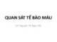 Bài giảng Thực hành Vi sinh - Ký sinh trùng: Quan sát tế bào máu - GV. Nguyễn Thị Ngọc Yến