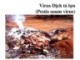 Bài giảng Virus học thú y: Virus dịch tả lợn - PGS.TS. Nguyễn Bá Hiên