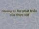 Bài giảng Sinh học đại cương (Phần 3): Chương 13 - ThS. Võ Thanh Phúc